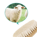 HaHBaby PureSoft Wool Brush Kit HaHBaby PureSoft Wool Brush Kit HuggingBub 