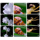 Montessori Science Microscope – Portable Educational Tool